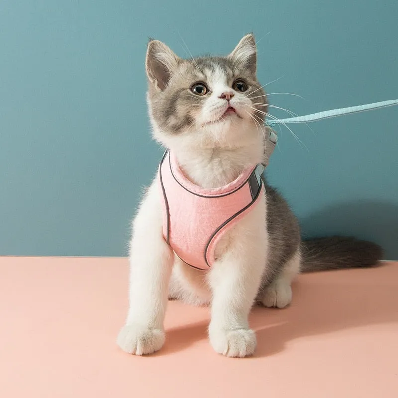 Cat Leash and Harness Vest Set