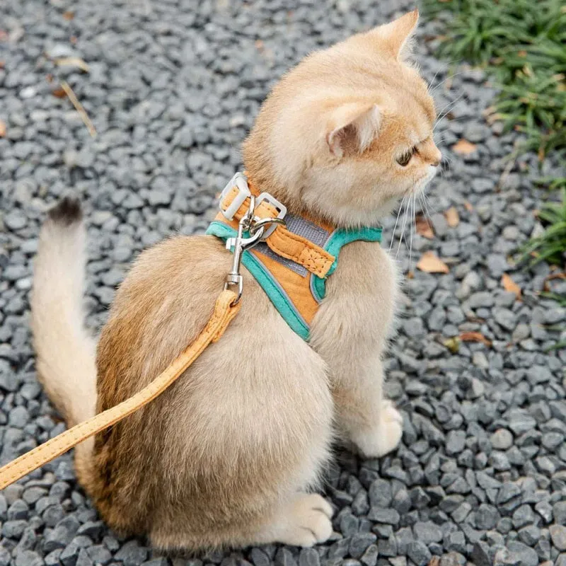 Cat Leash and Harness Vest Set