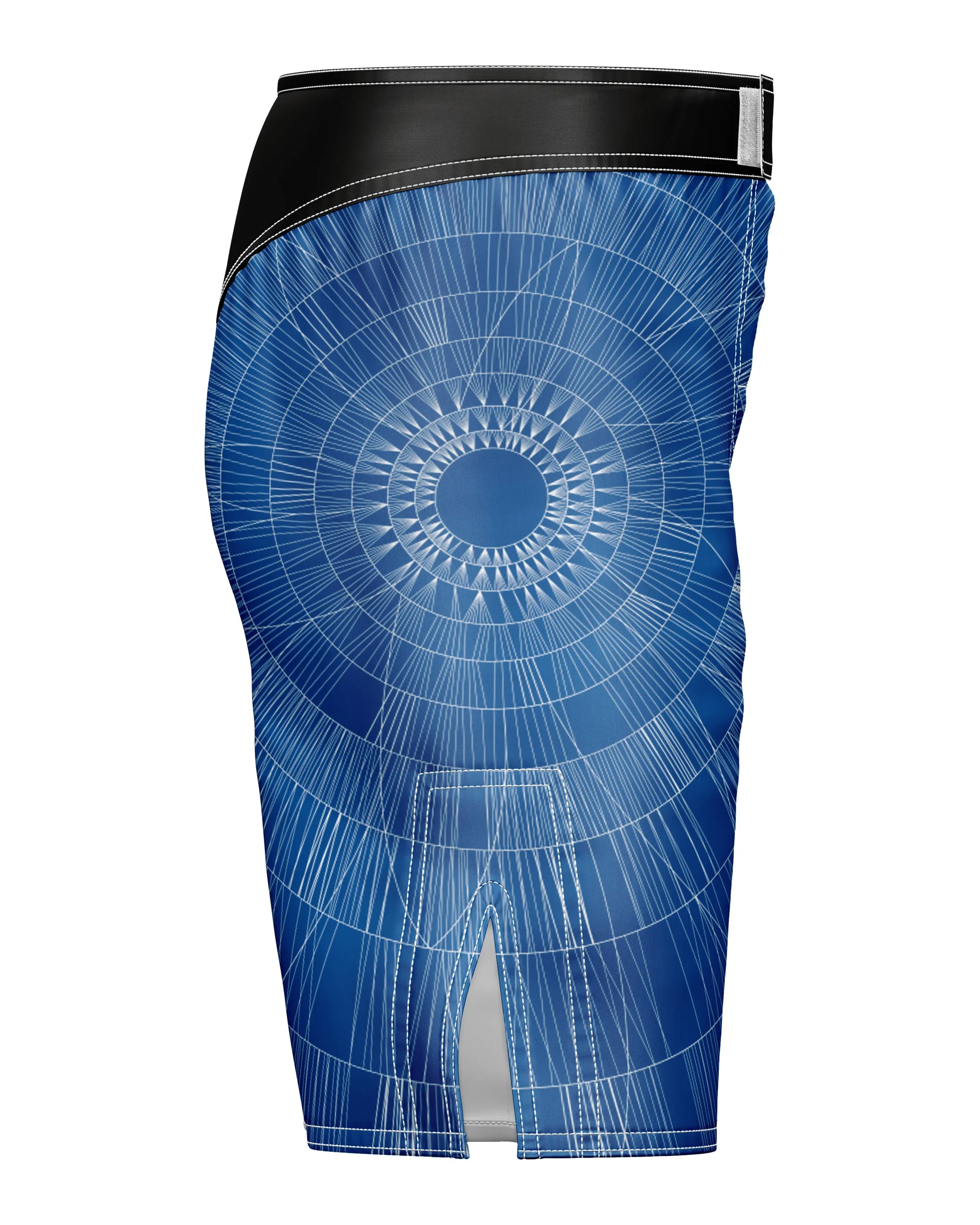 MCD Predator 2.0 MMA Fight Shorts - Blue